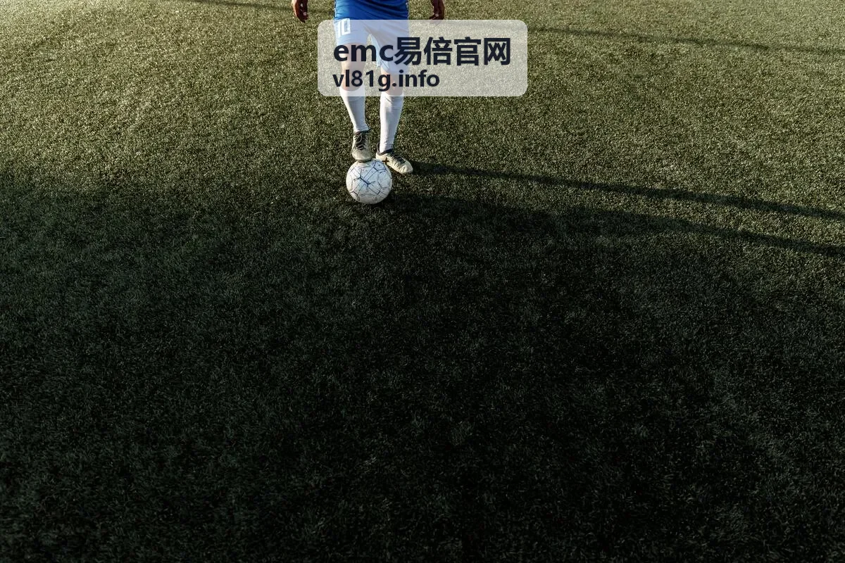 emc易倍官网产品手册
